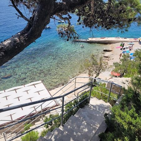 Luxury Apartments Villa Ruzmarina With New Heated Infinity Pool And Lounge Area Marusici  Екстериор снимка